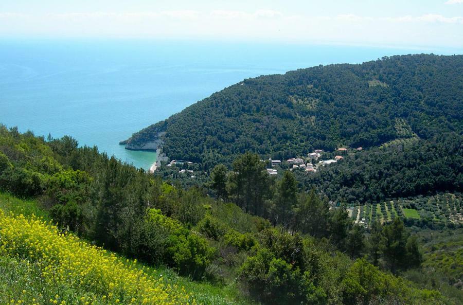 Villa Zagare Mattinata Buitenkant foto
